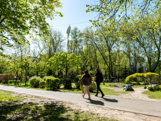 Лыткаринский Центральный парк занял шестое место в топ-10 парков Подмосковья