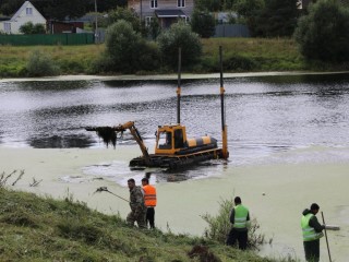 Более 250 нарофоминцев проголосовали за расчистку пруда в Шустикове