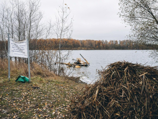 Водоем в Медвежьих Озерах очищают от камышей и мусора