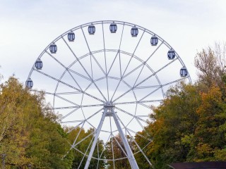 В парке Льва Толстого в Химках установили новый арт-объект