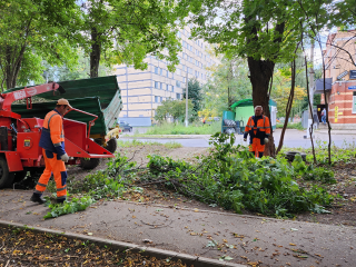 На Вокзальной улице убрали дерево, упавшее на автомобиль