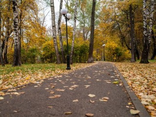 Жителей Пушкино День Трифона Вятского и Пелагии Антиохийской встретит потеплением