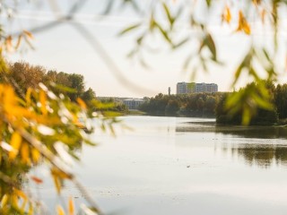 Йога и ярмарки: как провести выходные, рассказали балашихинцам