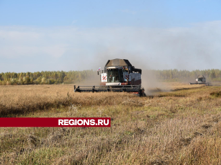 Лотошинские аграрии убрали почти весь урожай с полей