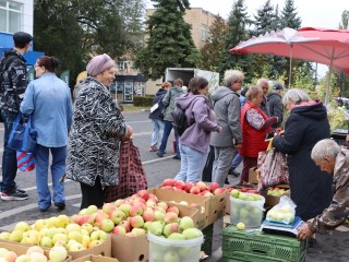 Ярмарки осеннего урожая можно посетить в Воскресенске в октябре