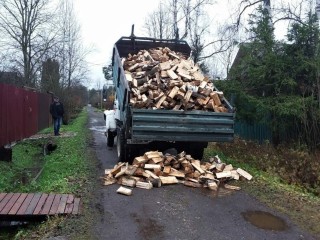 Звенигородцы подали наибольшее количество заявок на заготовку дров в Подмосковье