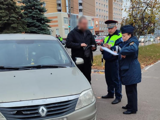 Четырех должников по алиментам, налогам и кредитам задержали судебные приставы в Озерах