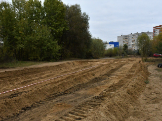 Часть вырубленных деревьев вдоль улицы Гризодубовой планируют пересадить