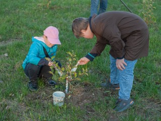 В парке «Ривьера» благоустроили  яблоневый сад, высаженный в честь бойцов СВО