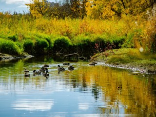 Плотина на реке Ходца восстановлена накануне большой воды