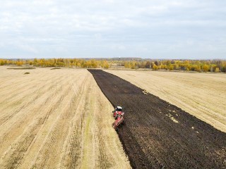 Более 500 га неиспользуемых земель ввели в оборот каширские аграрии