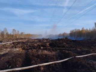 В районе Алферово лесничие и пожарные тушат горящие торфяники