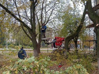 В Подмосковье проверили содержание дворов и общественных территорий