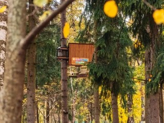 Посетителей парков Балашихи приглашают на творческие мастер-классы