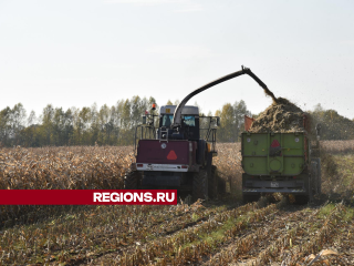 В Лотошине колхозы заготовили больше 20 тыс. тонн корма для коз, кур и коров на зиму