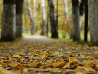 Во вторник в Воскресенске заметно потеплеет