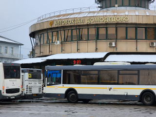 По просьбам жителей ежедневный контроль за маршрутами 505 и 877 будет усилен