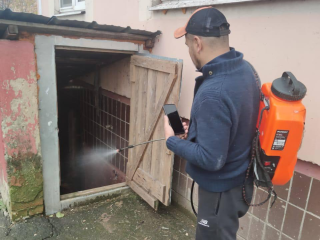 В подвалах трех домов в Рузе коммунальщики боролись с клопами, тараканами и блохами