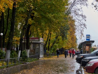 В Черноголовке похолодает до 0 градусов и пойдет первый снег