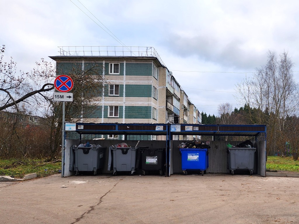 В Рузе нарушители получили 630 тыс. руб. штрафов за незаконный сброс мусора