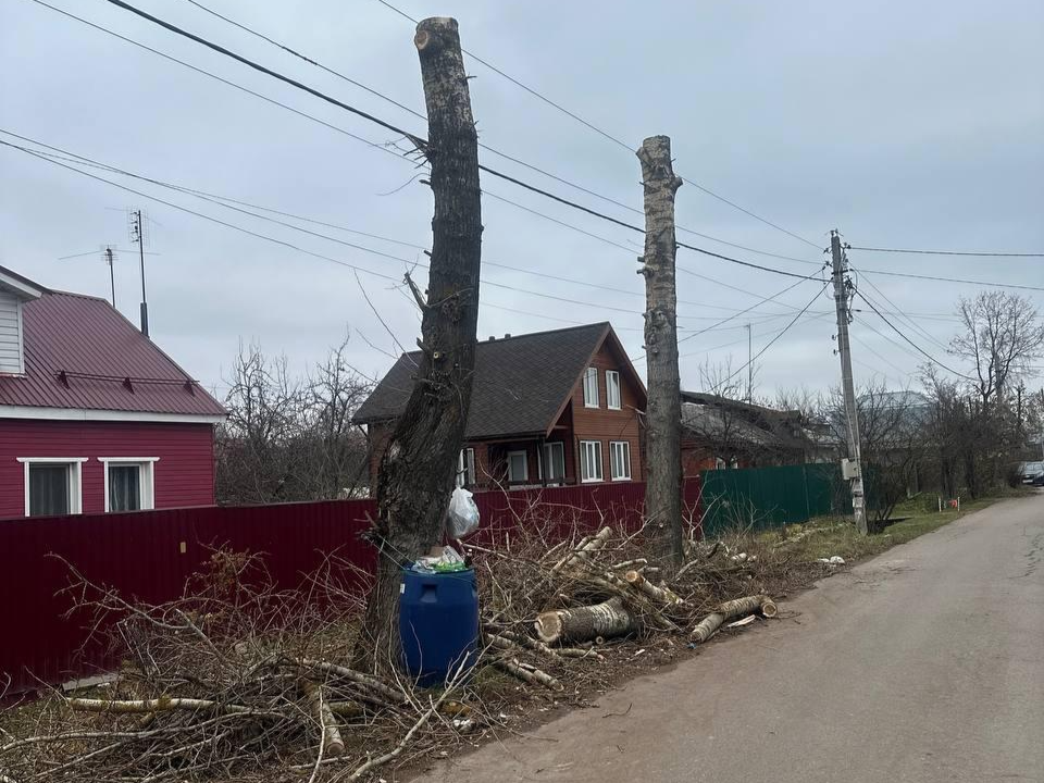 По жалобам жителей в микрорайоне Востряково проведено кронирование деревьев