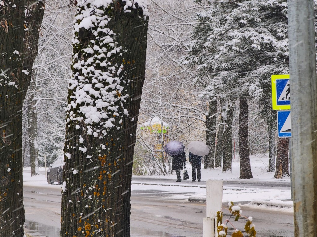 Холода в Можайском округе наступят с 16 ноября