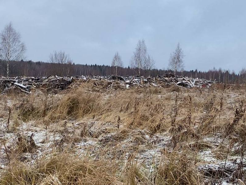 Экологи и полиция Сергиева Посада ищут виновника свалки вблизи Алексеево