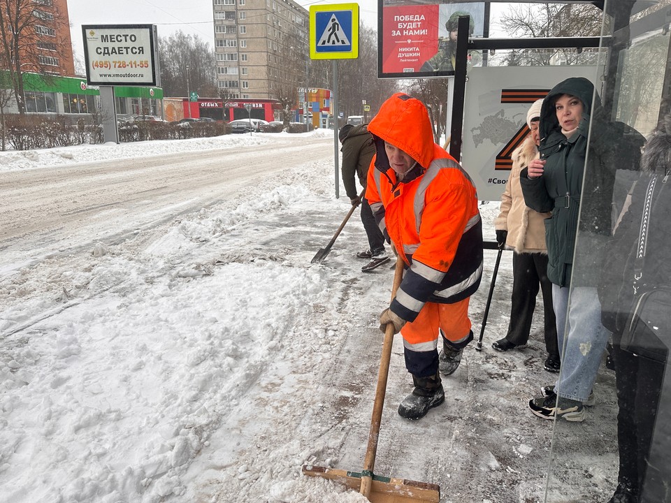 В Клину расчистят улицы и благоустроят спуск в «Талицком лесу»