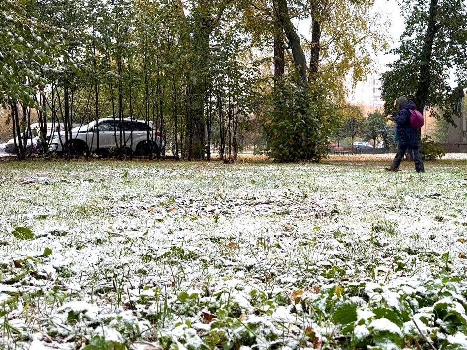 Снег и заморозки придут в Шатуру на этой неделе