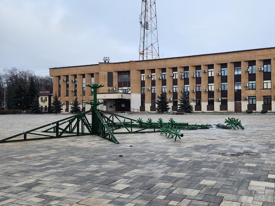 Главную елку округа в Домодедове установят к началу зимы