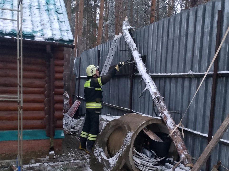 Спасатели помогли жителям спилить дерево, упавшее на территорию жилого дома