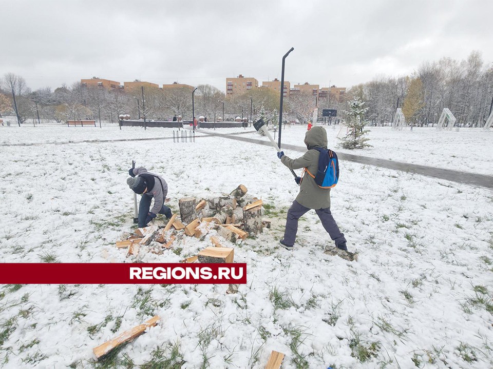 Юные жители Долгопрудного попробовали себя в роли дровосеков