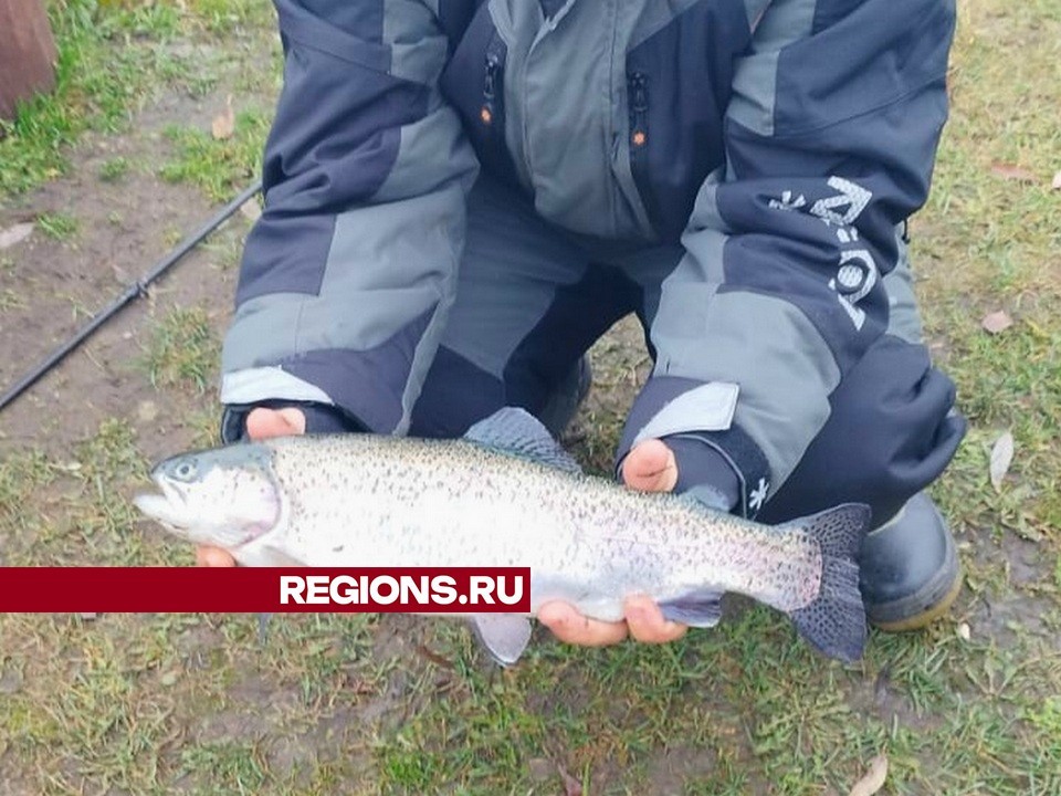 Мытищинские рыбаки открыли сезон форели на Рупасовских прудах
