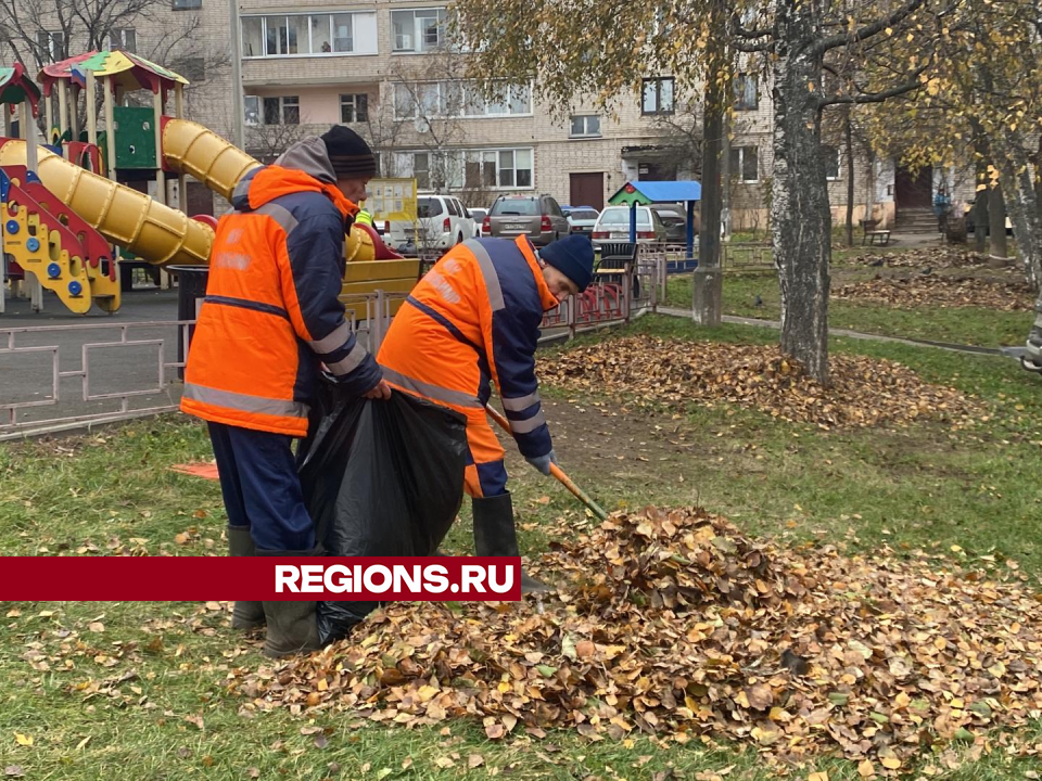 Во дворе на улице Босова убрали листву