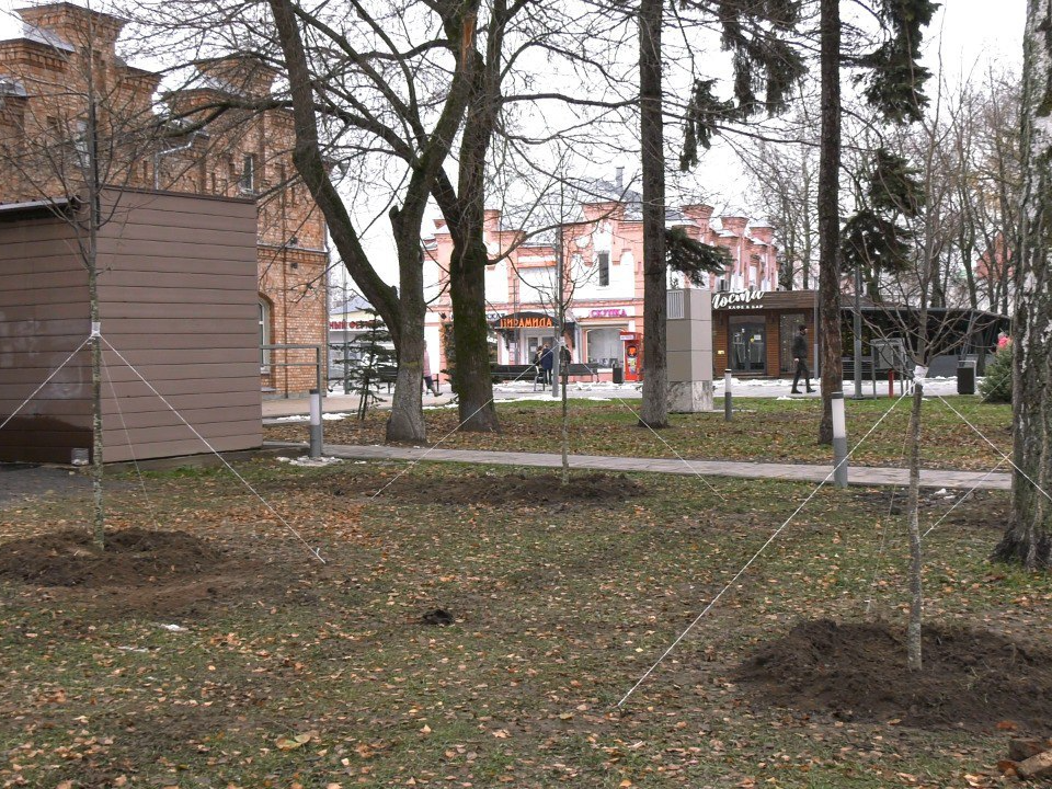 В центре Егорьевска высадили деревья