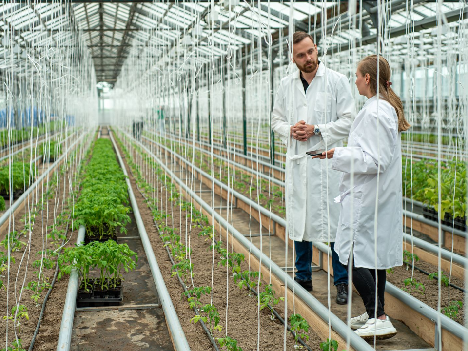 О достижениях коломенской агрофирмы расскажут на конференции в Уральском университете