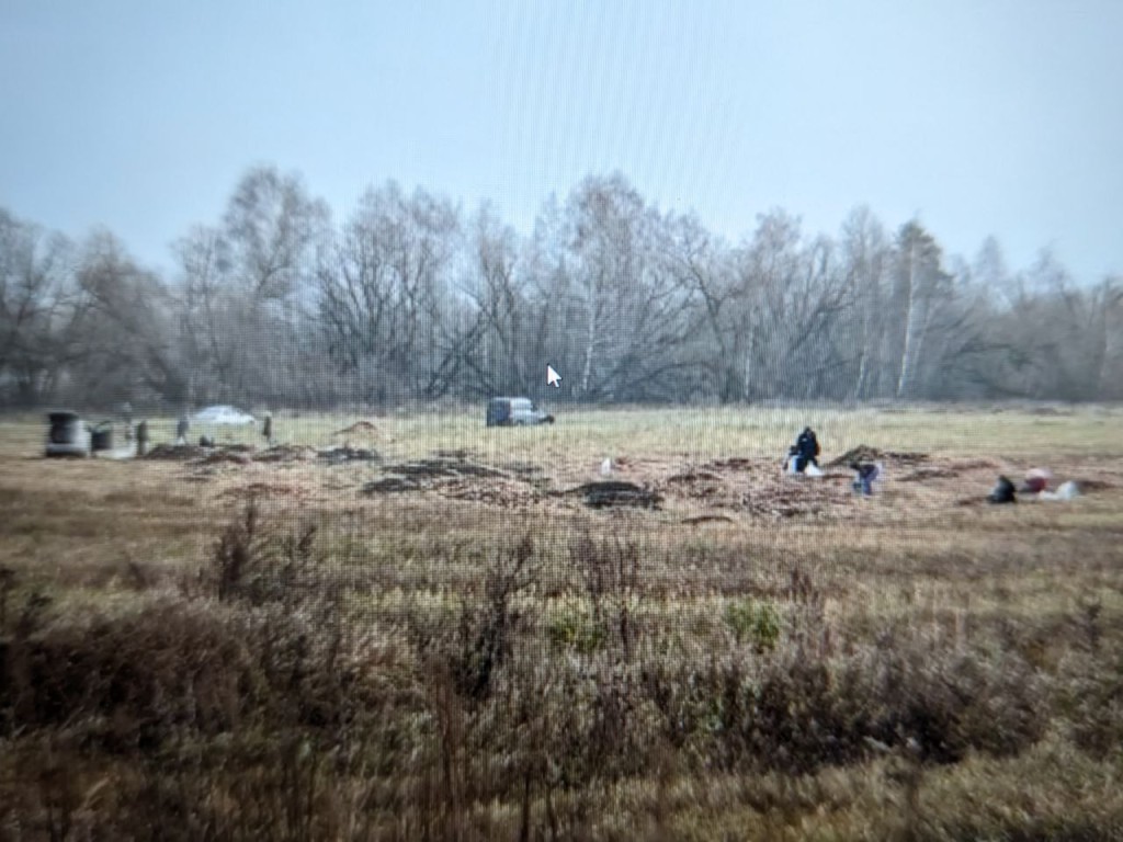 Бесплатно набрать овощи могут жители Серпухова и близлежащих городов