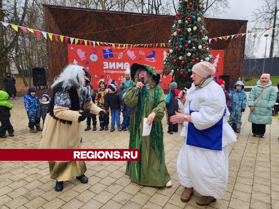 В Центральном парке Солнечногорска отметили День Рождения Деда Мороза