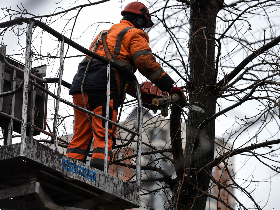 На улицах Воскресенска убирают спиленные ветки аварийных деревьев