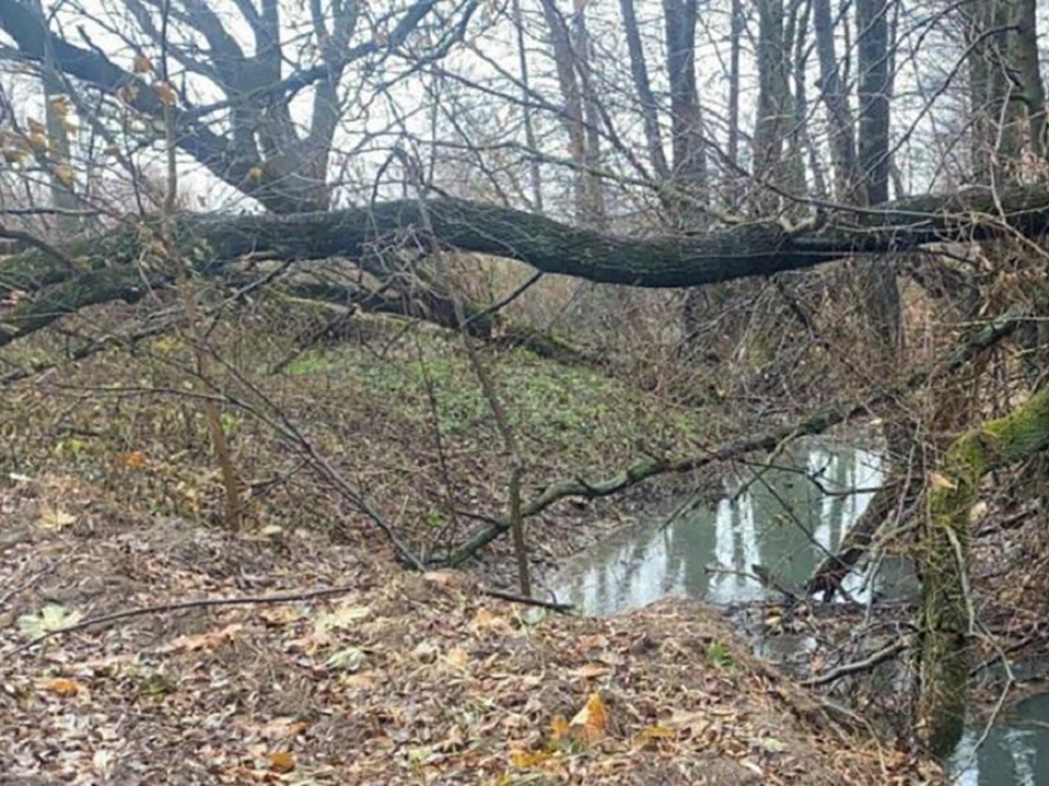 Минэкологии потребовало убрать неизвестные грунты с берега водоема в Одинцовском округе