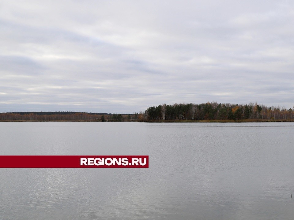 Возрождение водной жемчужины: в городском округе Луховицы очистили озеро