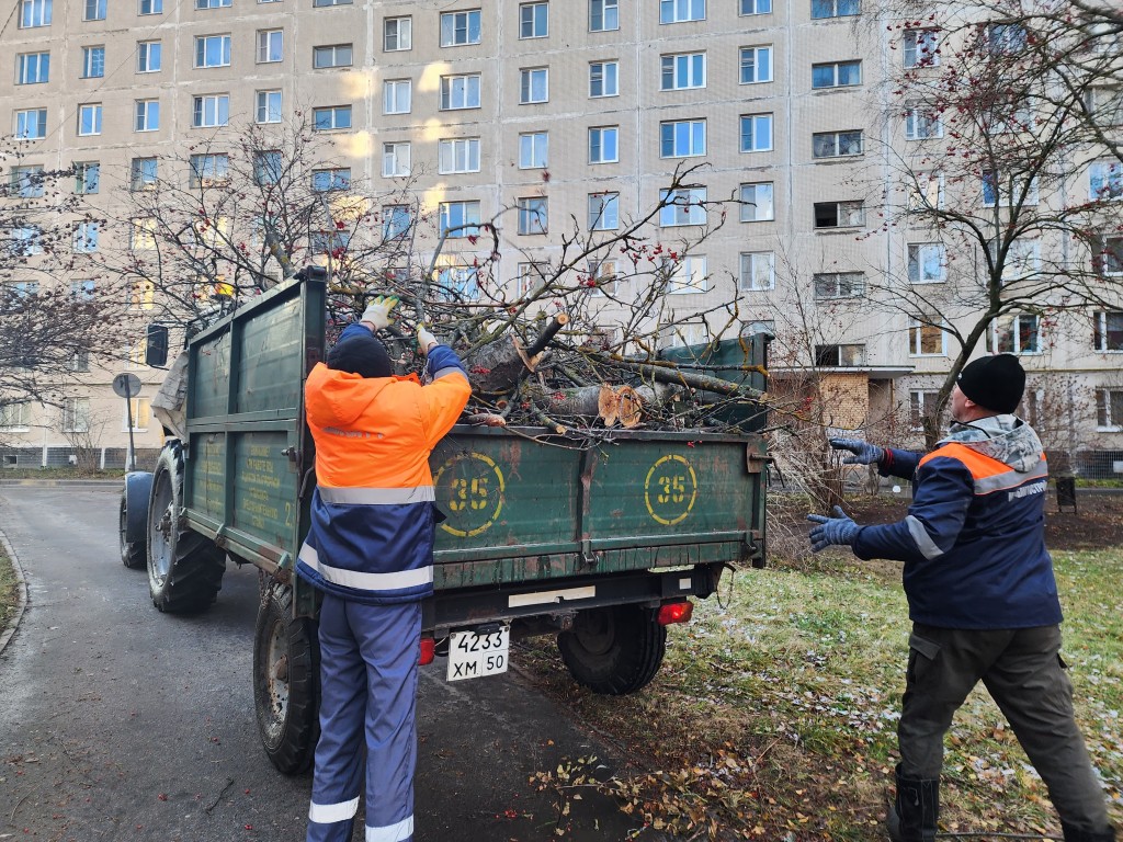 Упавшее дерево убрали с тротуара на улице Говорова