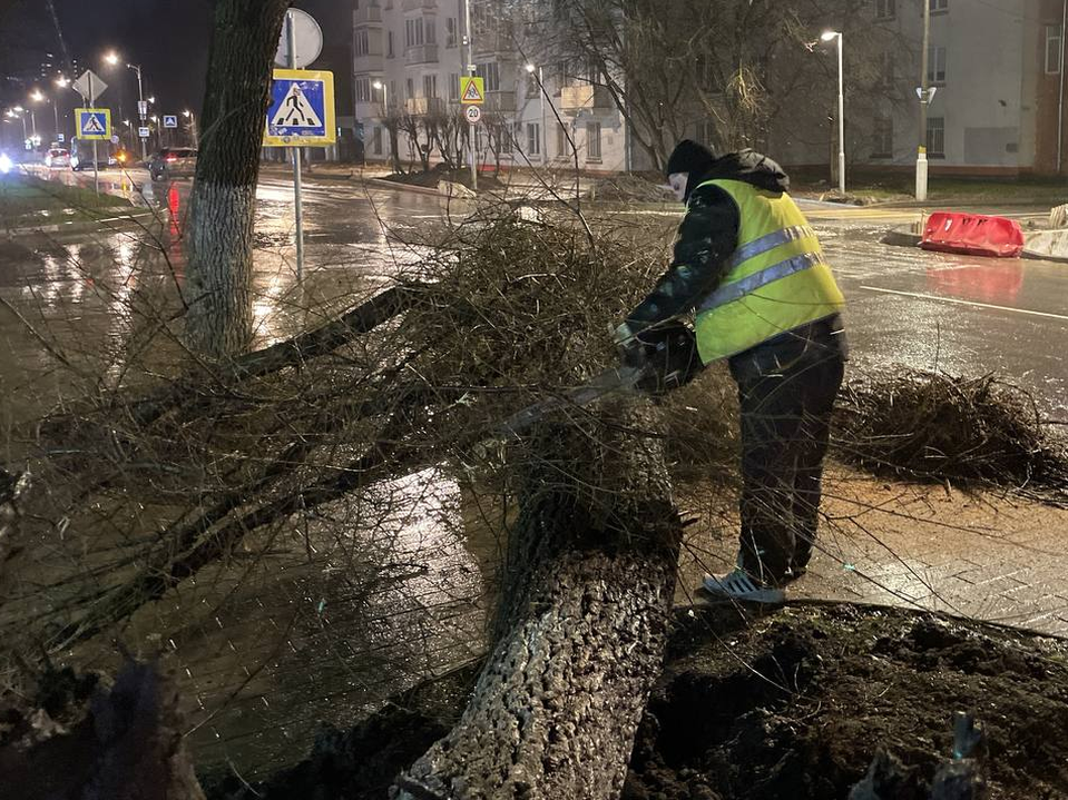 В Лыткарине аварийные службы ликвидировали последствия непогоды