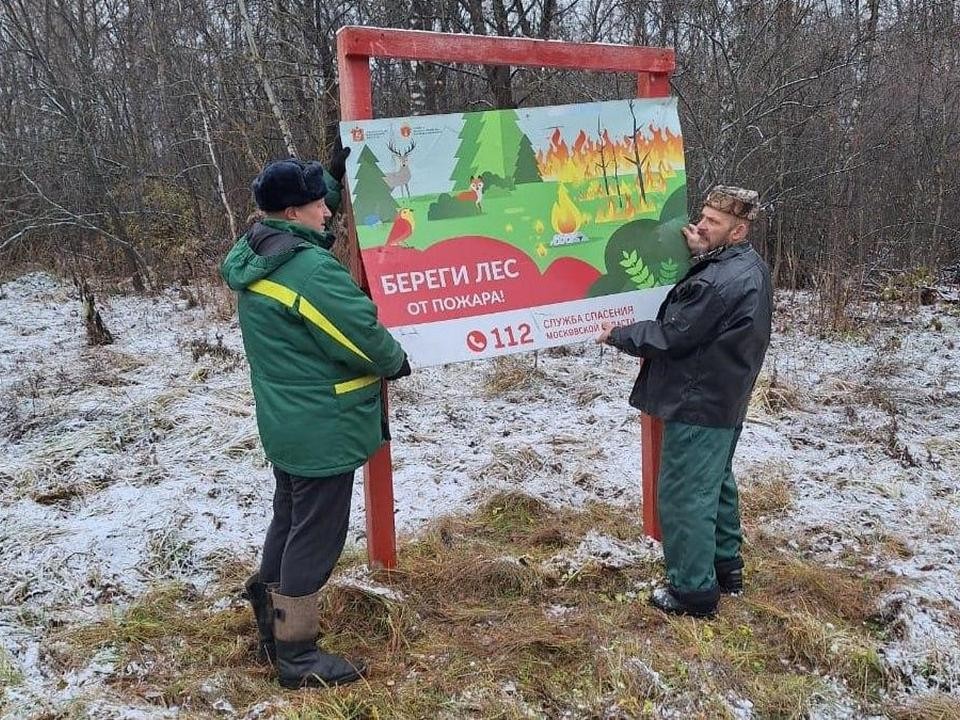 Пожароопасный сезон в лесах городского округа Луховицы официально завершился