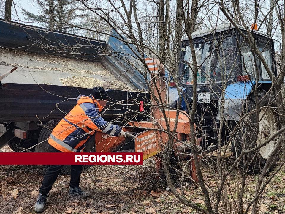 Коммунальщики обрезали ветки деревьев возле дома № 40 на улице Урицкого