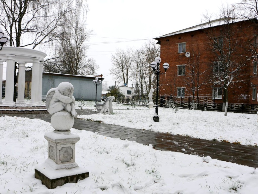 Снежный покров может сформироваться в Подмосковье в ночь на пятницу