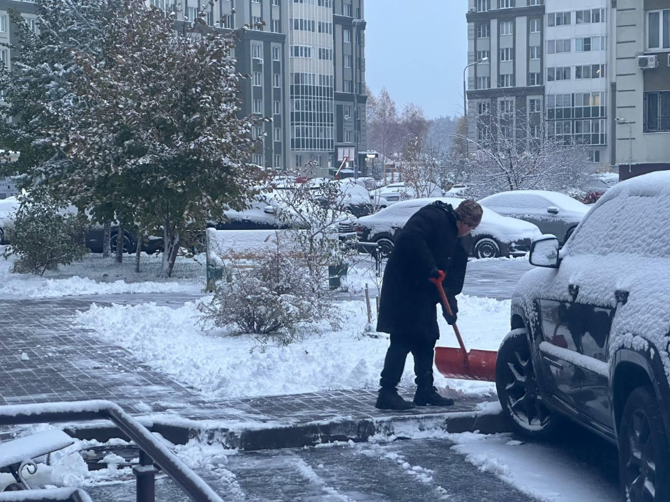 Снегопад в Домодедове: как коммунальные службы справляются с вызовами зимы в Южном