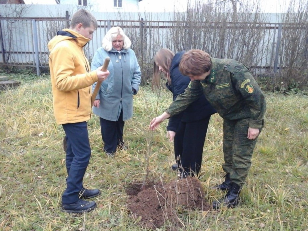 Ели и сливы высадили школьники под Егорьевском