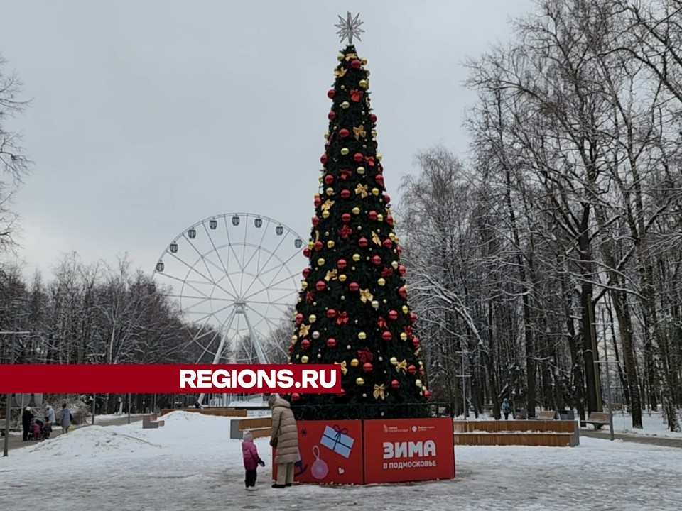 В Химках установили первую новогоднюю ель