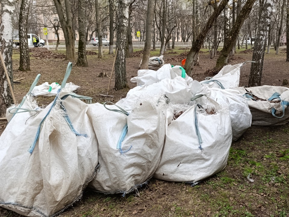 Стало известно, откуда на деревья в Черноголовке прилетели белые мешки